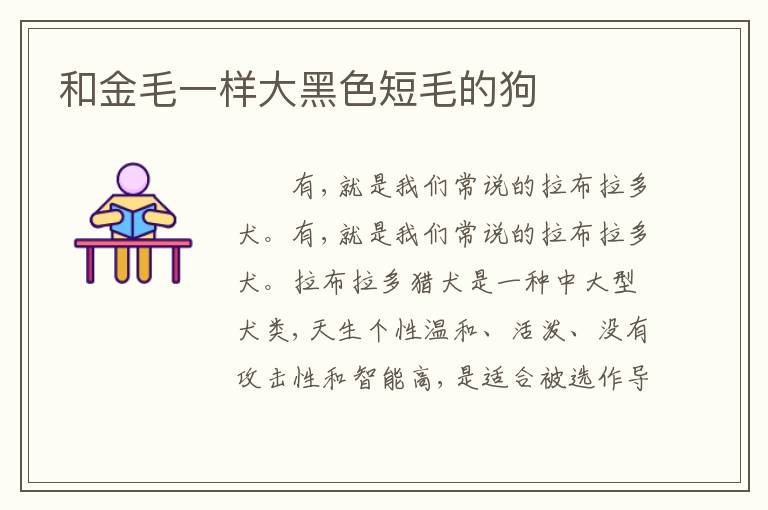 和金毛一样大黑色短毛的狗