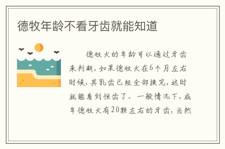 德牧年龄不看牙齿就能知道