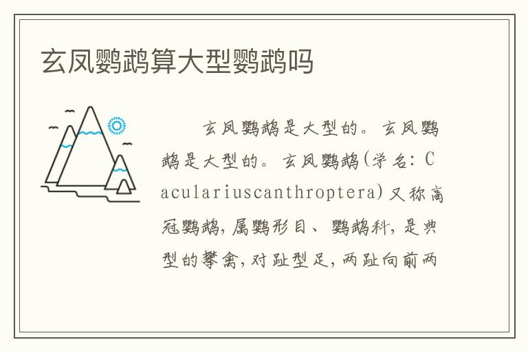 玄凤鹦鹉算大型鹦鹉吗