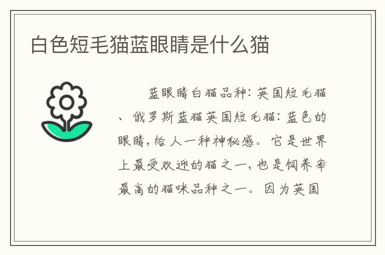 白色短毛猫蓝眼睛是什么猫