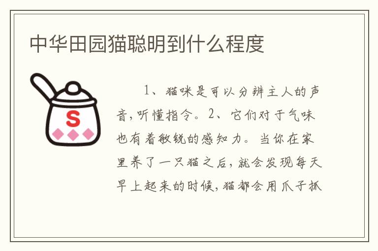 中华田园猫聪明到什么程度