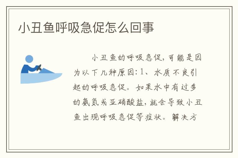 小丑鱼呼吸急促怎么回事