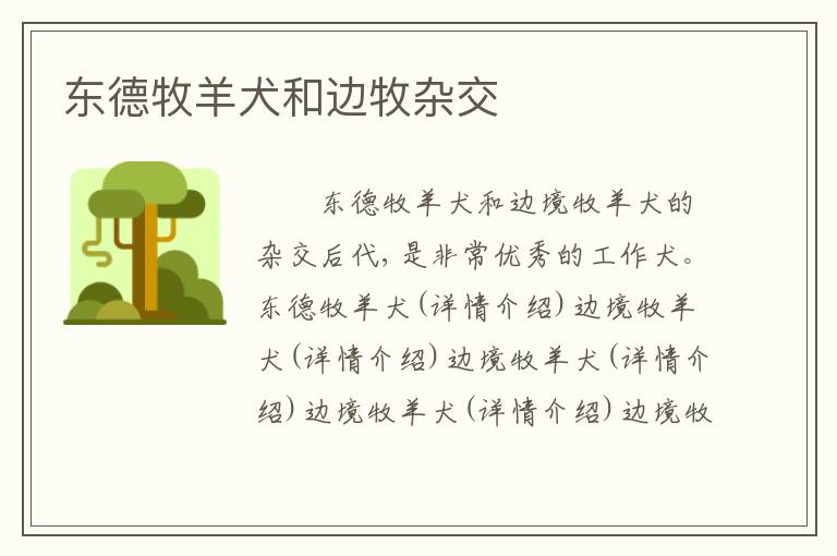 东德牧羊犬和边牧杂交