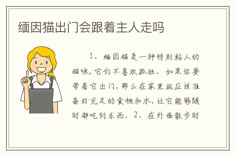 缅因猫出门会跟着主人走吗