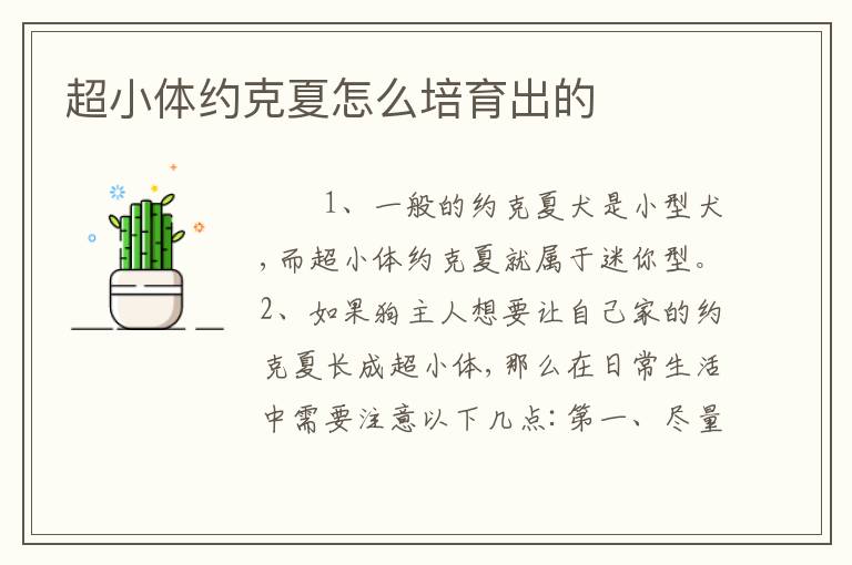超小体约克夏怎么培育出的