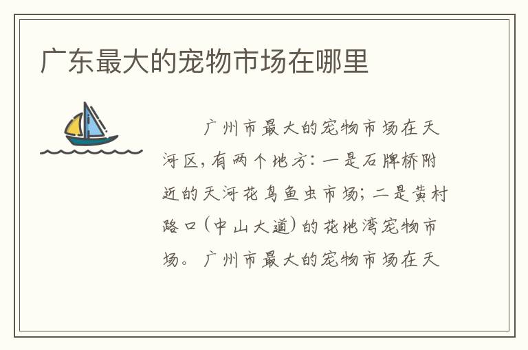 广东最大的宠物市场在哪里