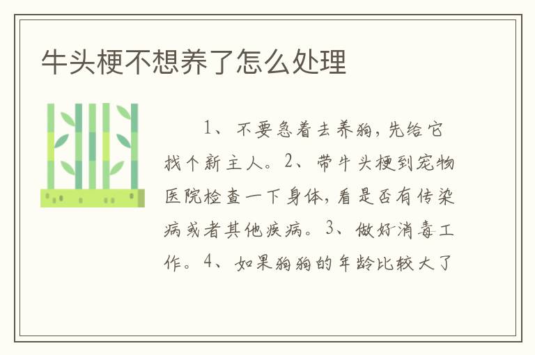牛头梗不想养了怎么处理