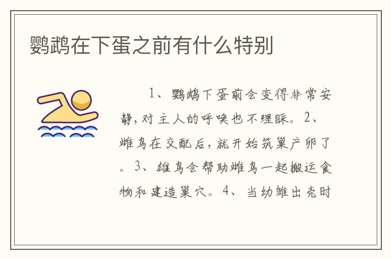 鹦鹉在下蛋之前有什么特别