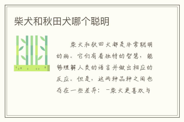 柴犬和秋田犬哪个聪明