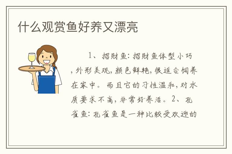 什么观赏鱼好养又漂亮