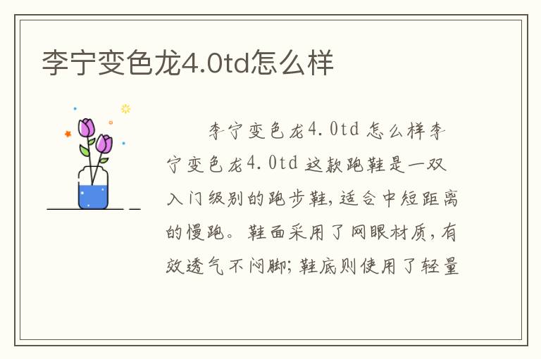 李宁变色龙4.0td怎么样