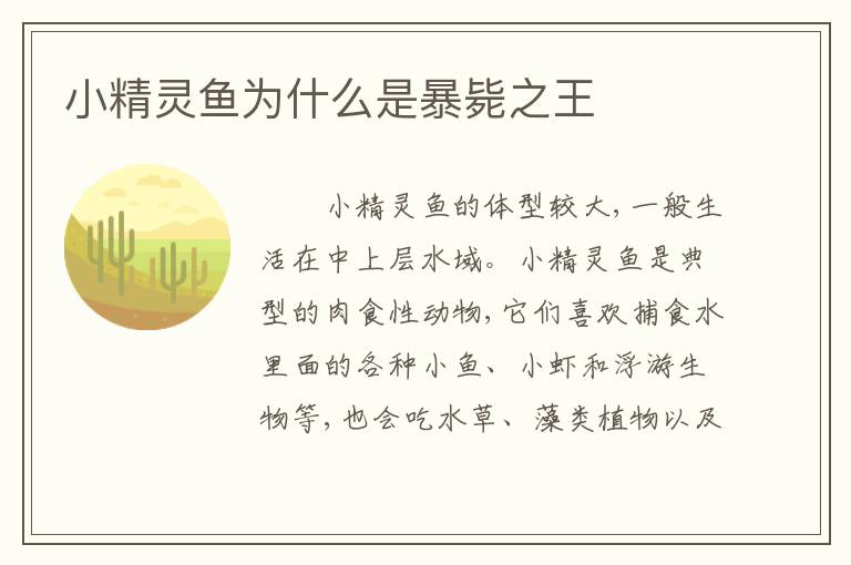小精灵鱼为什么是暴毙之王