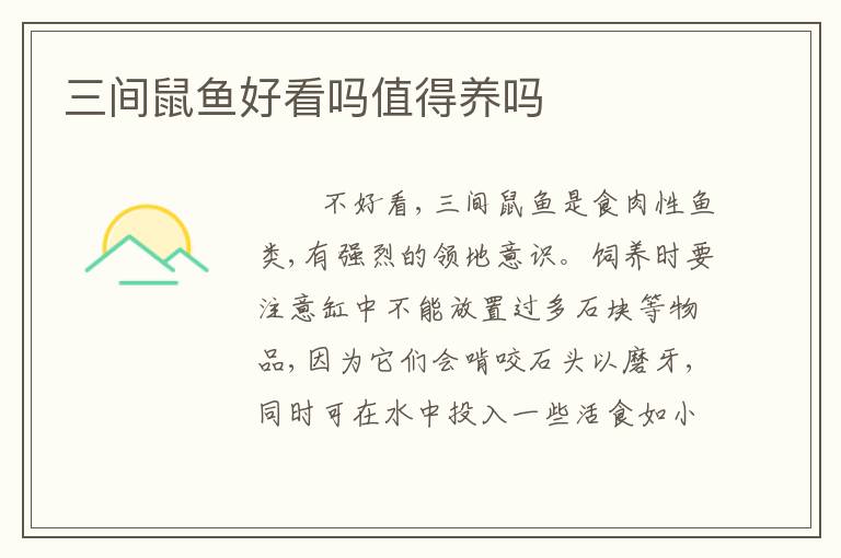 三间鼠鱼好看吗值得养吗