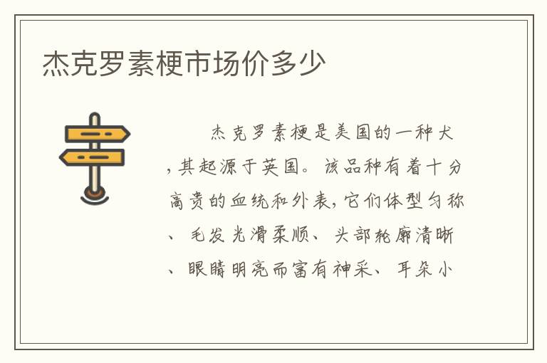 杰克罗素梗市场价多少