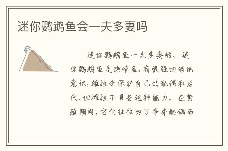 迷你鹦鹉鱼会一夫多妻吗