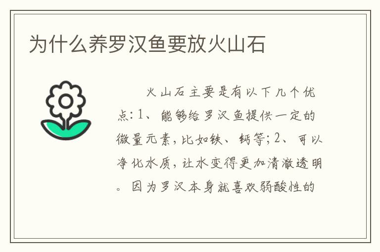 为什么养罗汉鱼要放火山石