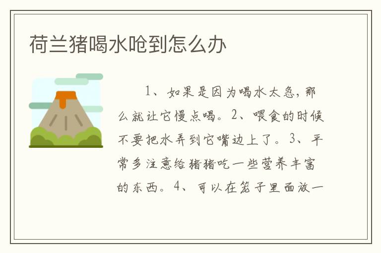荷兰猪喝水呛到怎么办