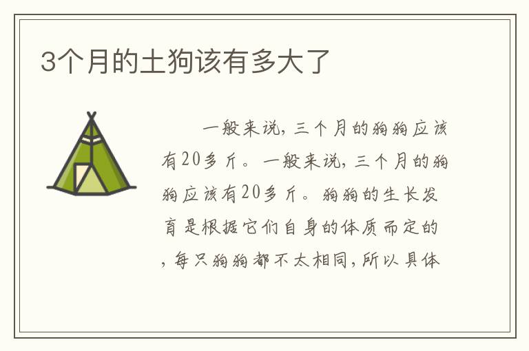 3个月的土狗该有多大了