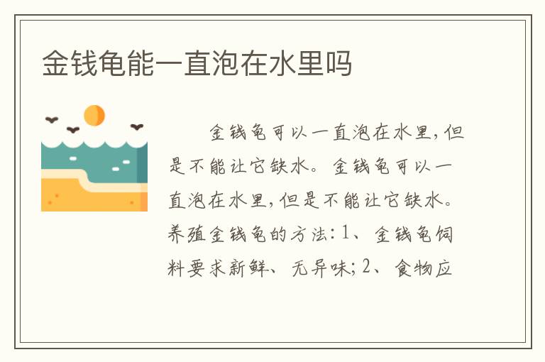 金钱龟能一直泡在水里吗