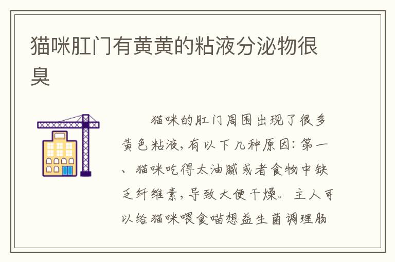 猫咪肛门有黄黄的粘液分泌物很臭