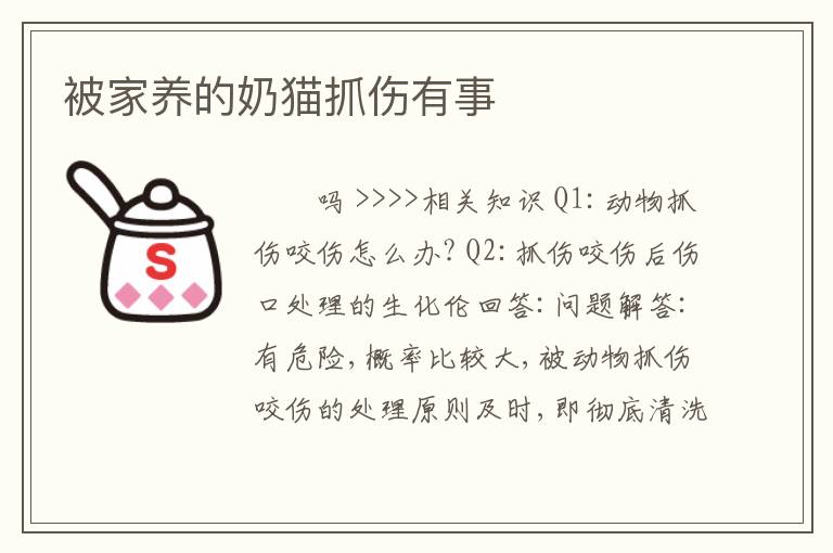 被家养的奶猫抓伤有事