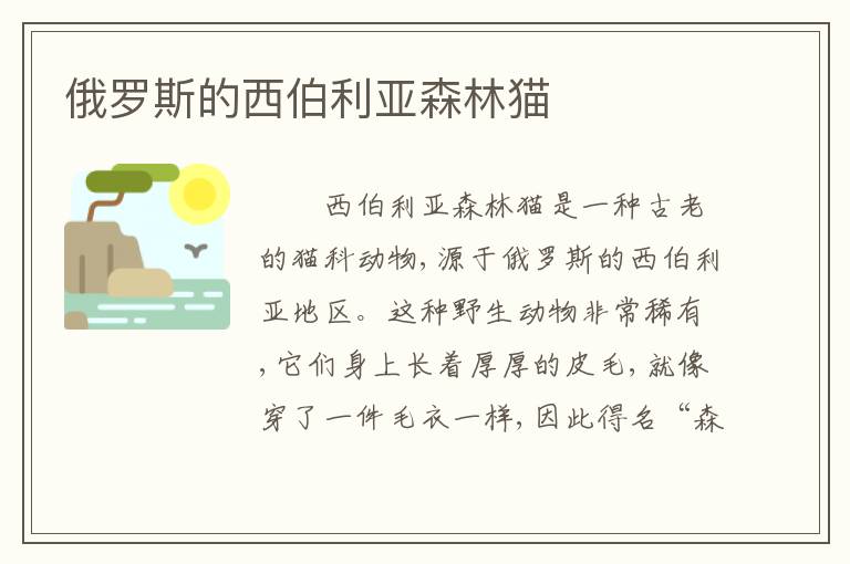 俄罗斯的西伯利亚森林猫