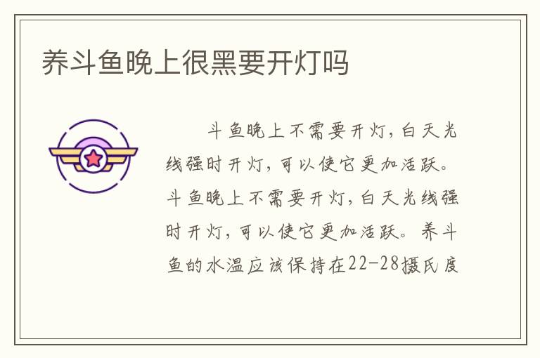 养斗鱼晚上很黑要开灯吗