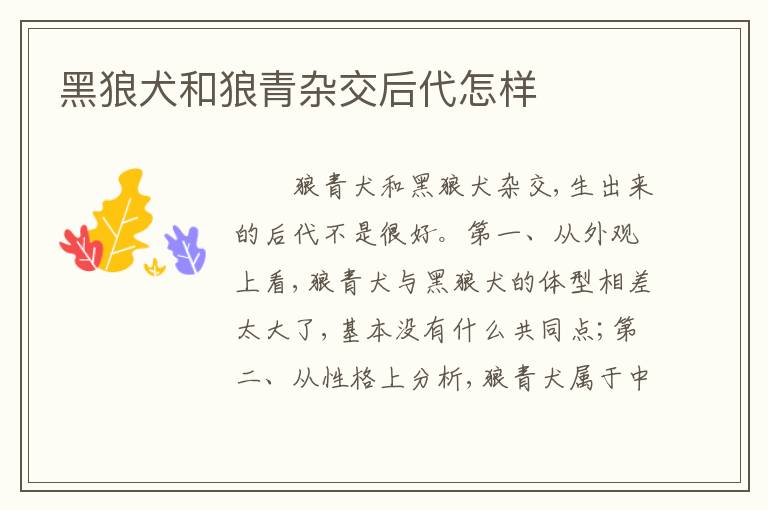 黑狼犬和狼青杂交后代怎样