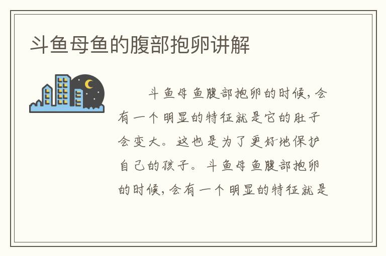 斗鱼母鱼的腹部抱卵讲解