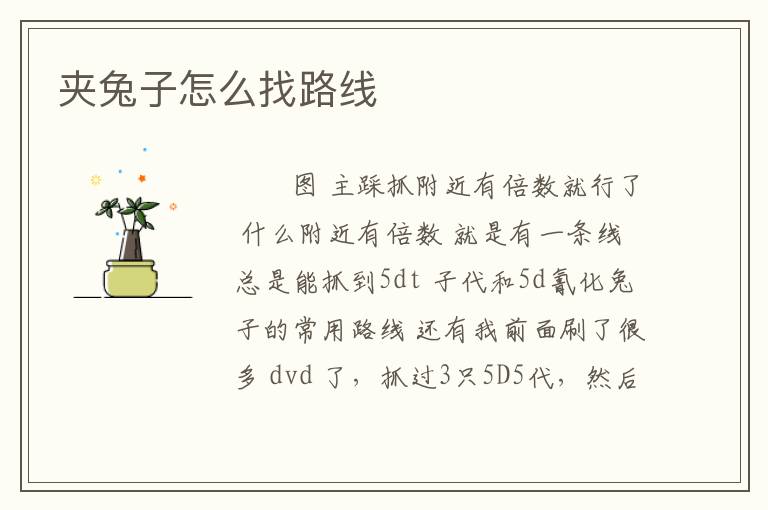 夹兔子怎么找路线