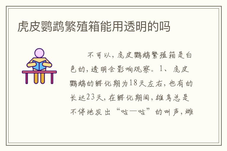 虎皮鹦鹉繁殖箱能用透明的吗