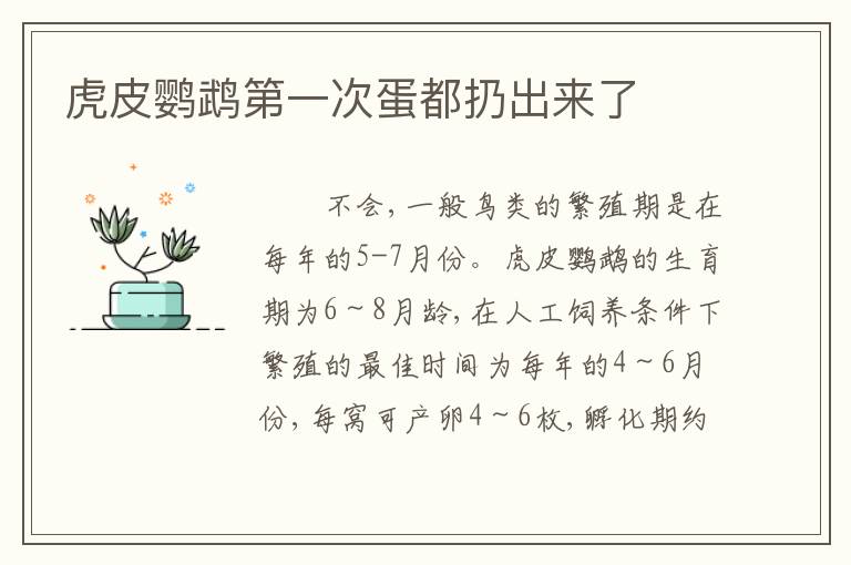 虎皮鹦鹉第一次蛋都扔出来了
