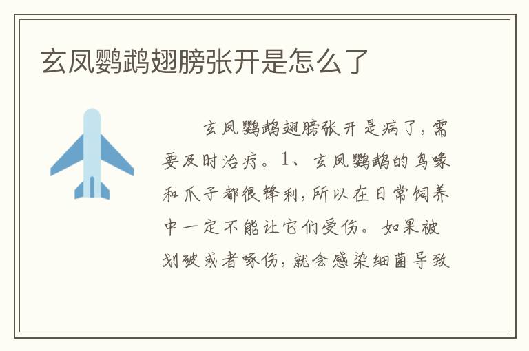 玄凤鹦鹉翅膀张开是怎么了