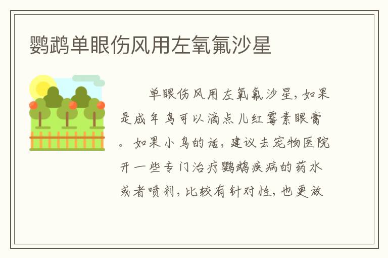 鹦鹉单眼伤风用左氧氟沙星