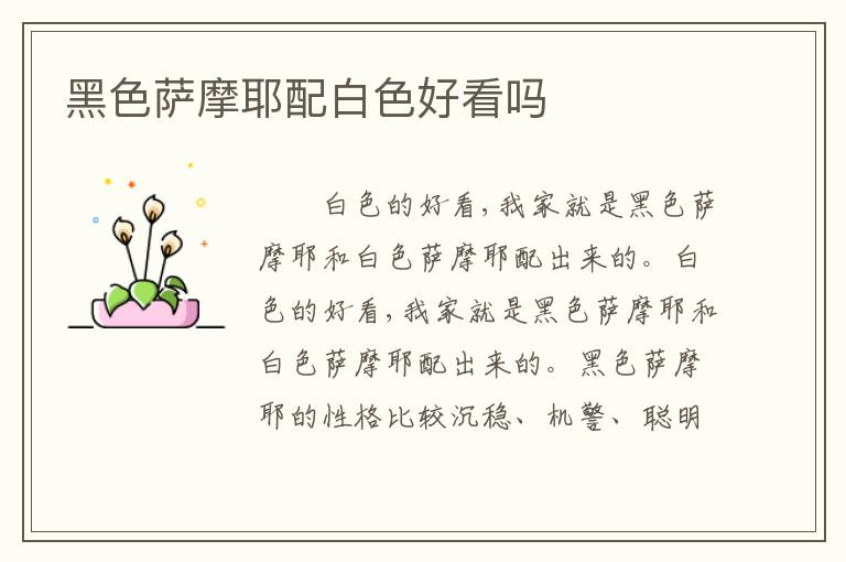 黑色萨摩耶配白色好看吗