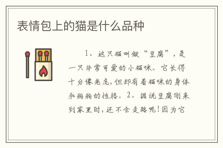 表情包上的猫是什么品种