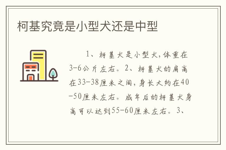 柯基究竟是小型犬还是中型