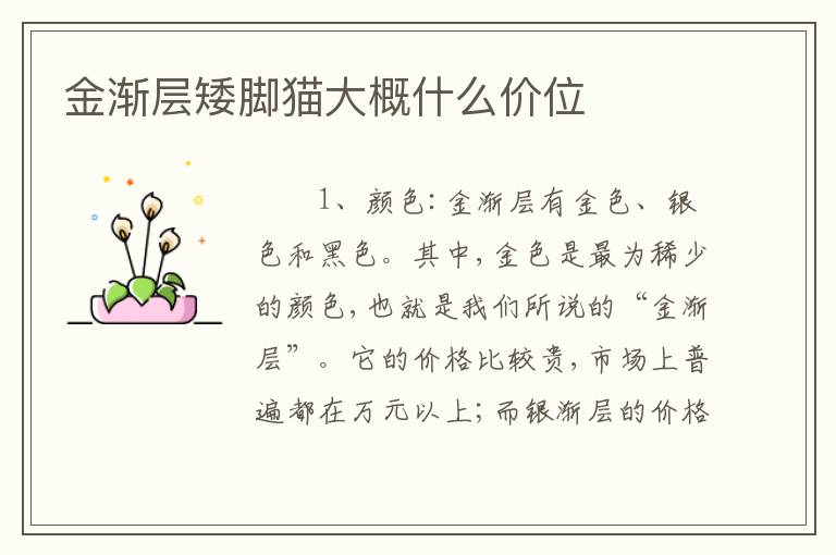 金渐层矮脚猫大概什么价位