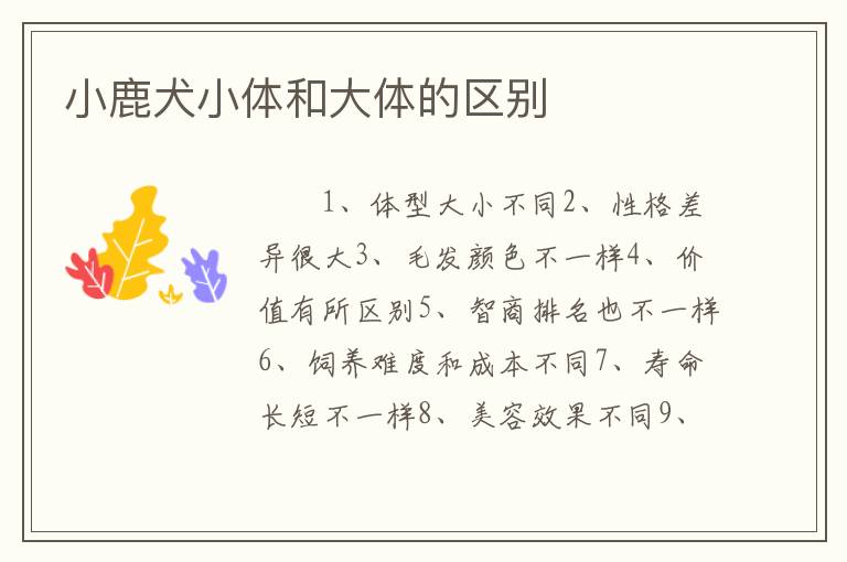 小鹿犬小体和大体的区别
